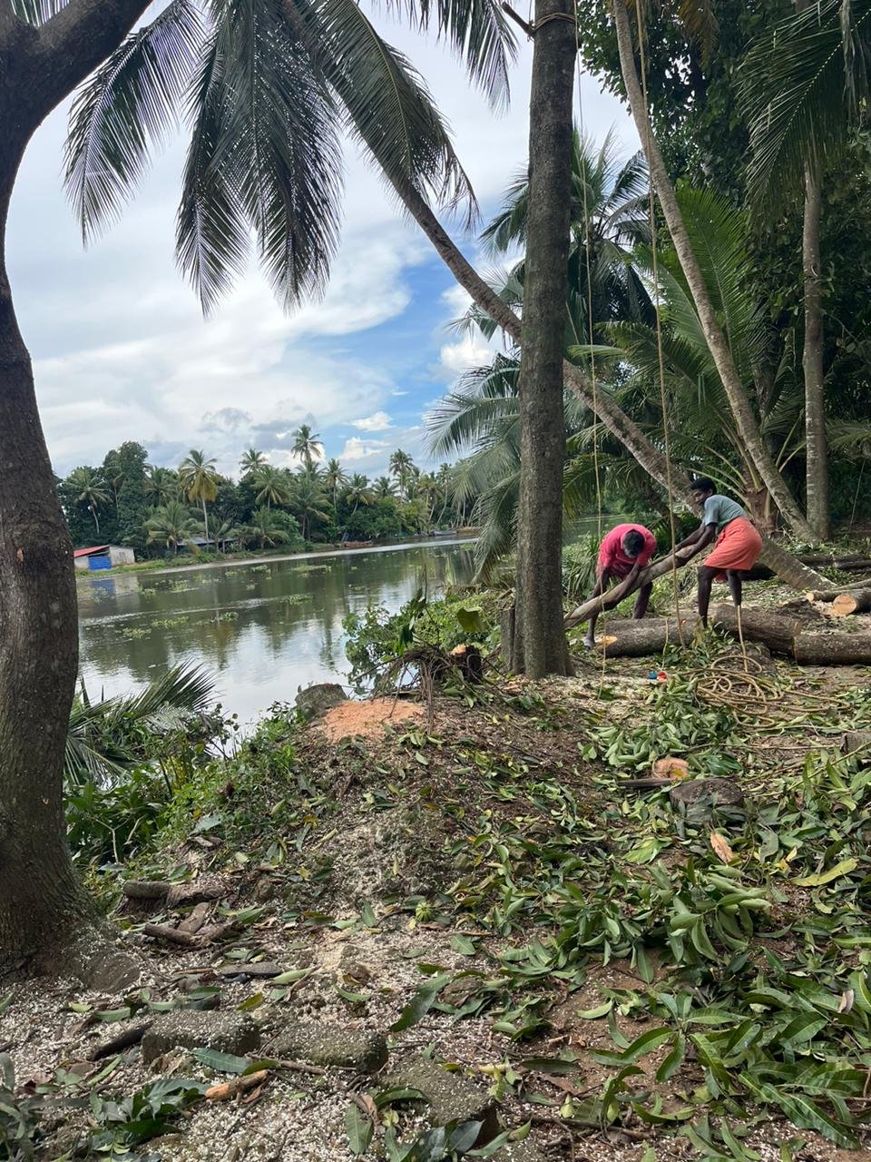River bank protection work- Changanasery