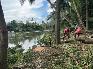 River bank protection work- Changanasery